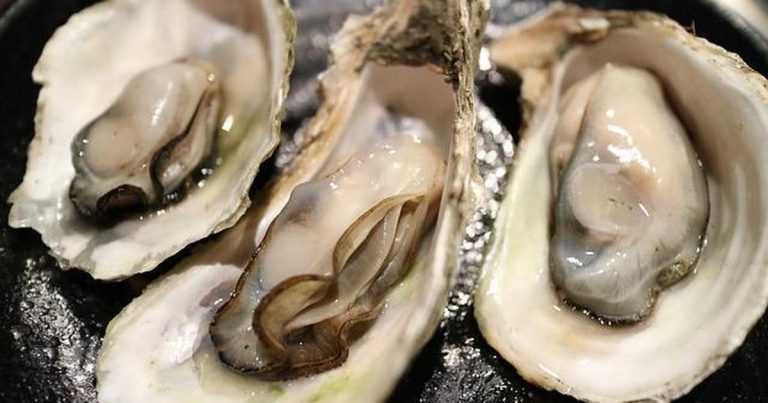What are Oysters Good for Sexually